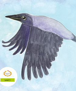 Book Cover - Compassionate Crow